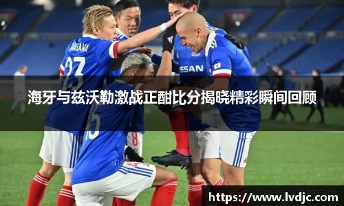 海牙与兹沃勒激战正酣比分揭晓精彩瞬间回顾