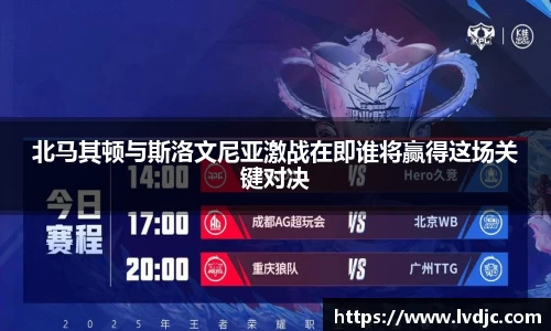 北马其顿与斯洛文尼亚激战在即谁将赢得这场关键对决